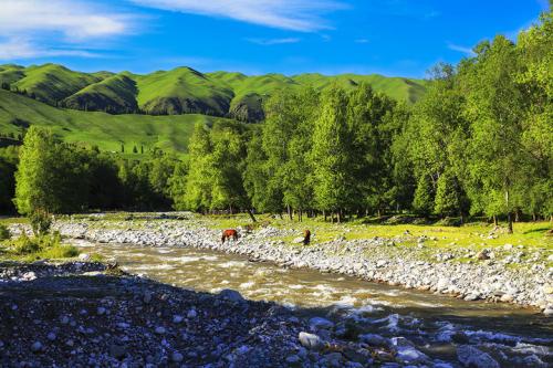 户口迁走了土地还有吗