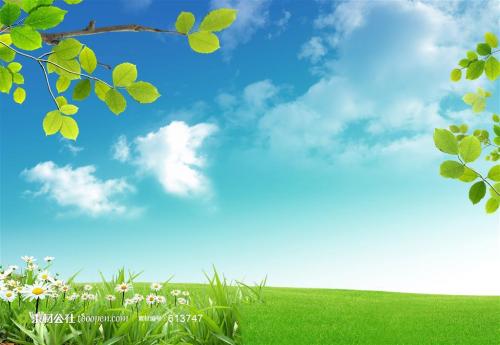 举报不实怎么处理 (网上举报怎么举报)