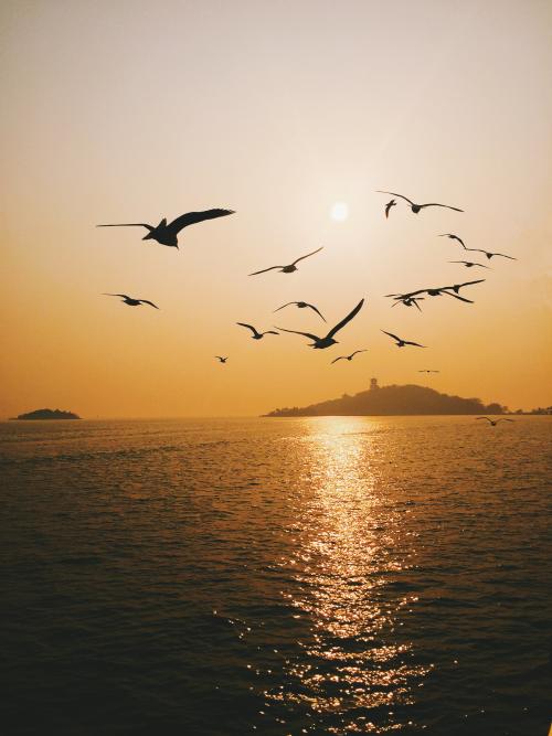 拆迁不给钱还要倒贴钱 (上班一个月还要倒贴)