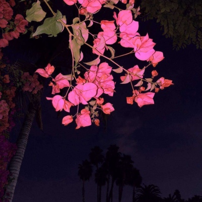 大王纸尿裤好吗