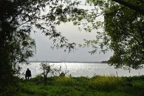 国家表彰抗疫先进个人名单