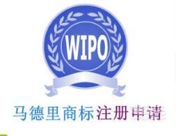 泉州市马德里国际商标注册数累计824件 居全国地级市第三位