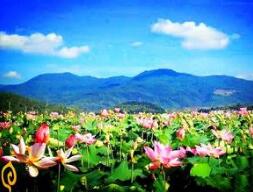 　武夷山五夫白莲喜获国家地理标志产品商标