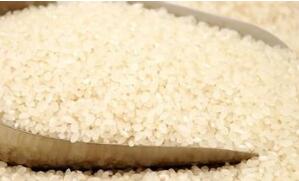 盐城三大驰名商标亮相上海推介会