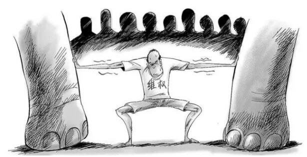 标局早知讯│专家呼吁设立绿色通道，遏制“恶意商标”！