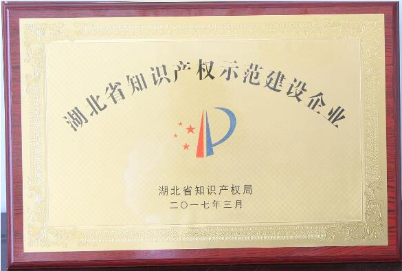 湖北武汉华电被授予“湖北省知识产权示范建设企业” 湖北武汉华电被授予“湖北省知识产权示范建设企业”