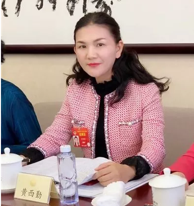 全国政协委员黄西勤：将保护知识产权确立为基