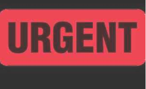 Bathurst商标并不一定表明量产车肯定已经准备好使用该名称