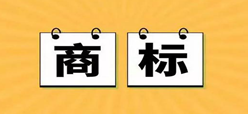 雷克赛恩成功注册商标，进军欧洲市场！