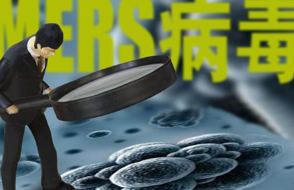 复旦大学、厦门大学、浙江大学、中山大学关于